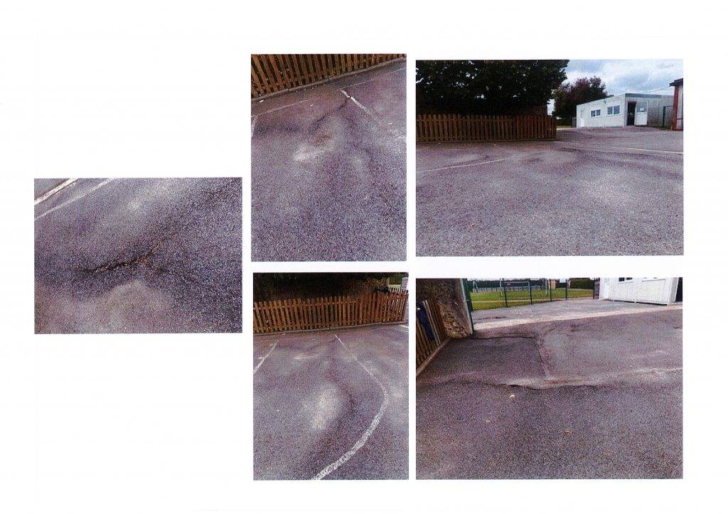 photos racines cour ecole